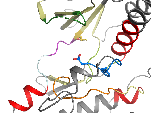 The orthosteric binding pocket