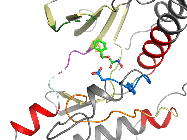 The orthosteric binding pocket