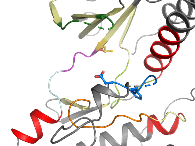The orthosteric binding pocket