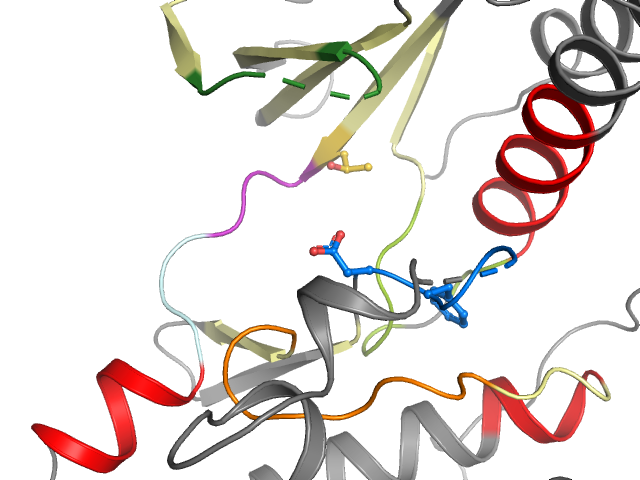The orthosteric binding pocket