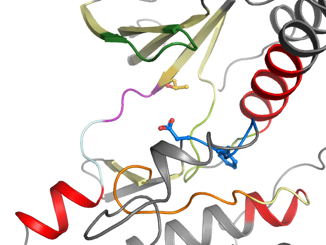 The orthosteric binding pocket