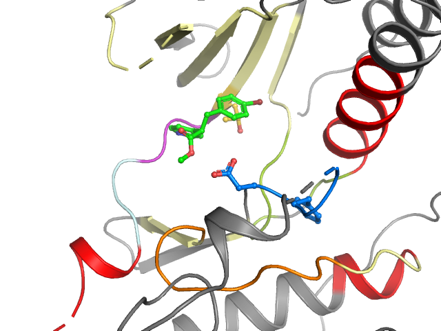 The orthosteric binding pocket