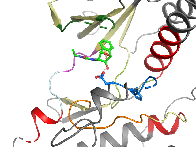 The orthosteric binding pocket