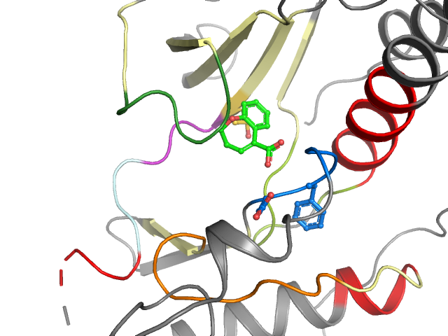 The orthosteric binding pocket