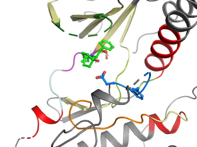 The orthosteric binding pocket