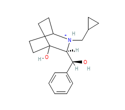 2D structure of the orthosteric ligand