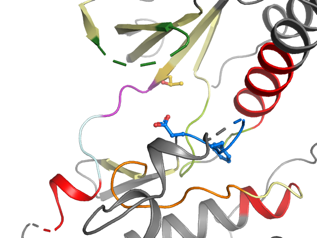 The orthosteric binding pocket