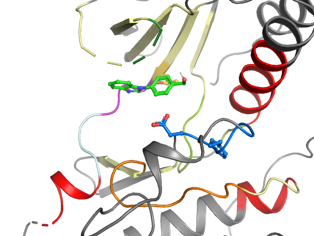 The orthosteric binding pocket