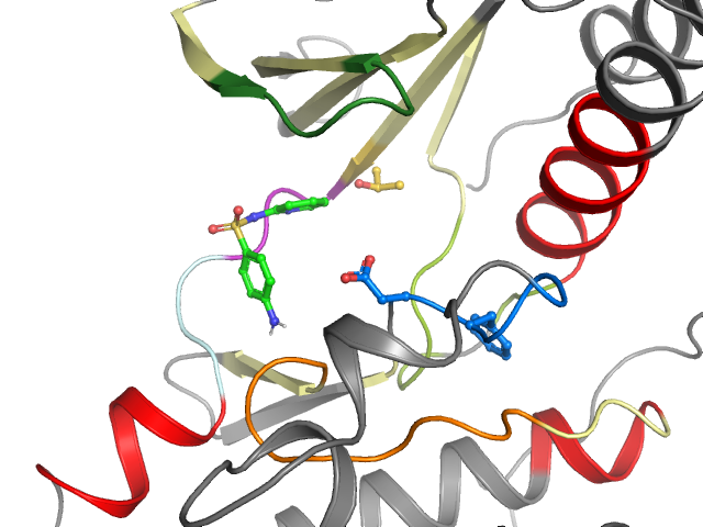 The orthosteric binding pocket