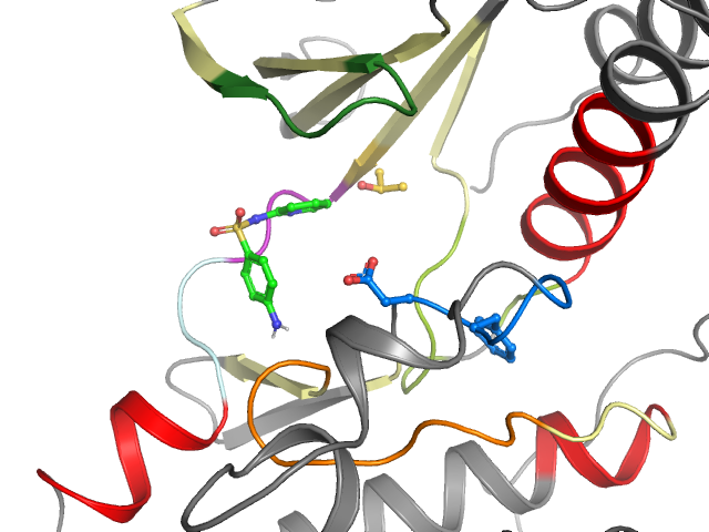 The orthosteric binding pocket