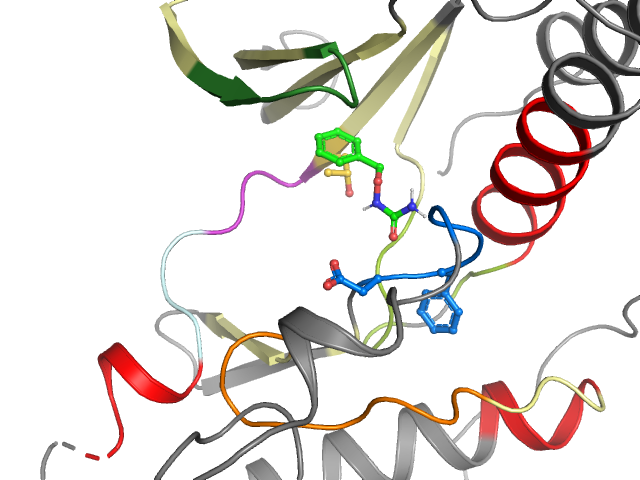 The orthosteric binding pocket