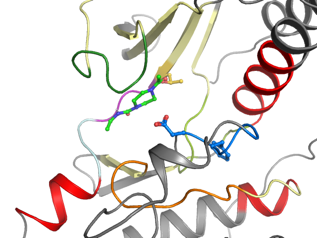 The orthosteric binding pocket