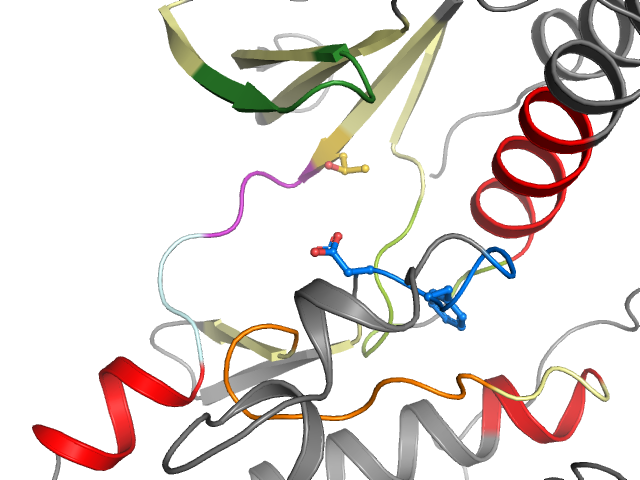 The orthosteric binding pocket