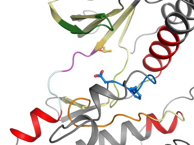 The orthosteric binding pocket