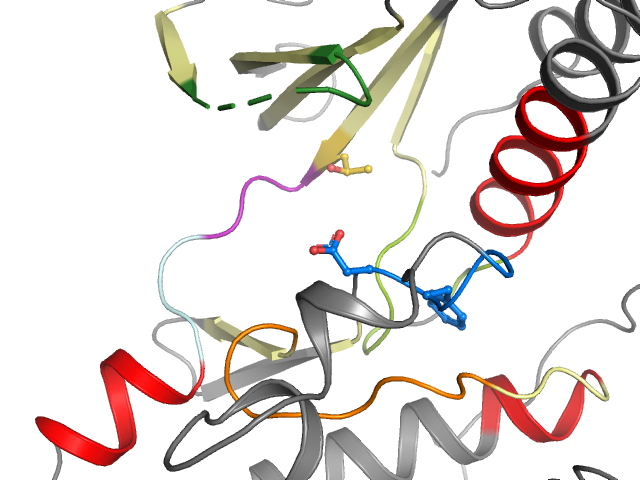 The orthosteric binding pocket