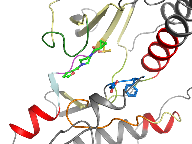 The orthosteric binding pocket