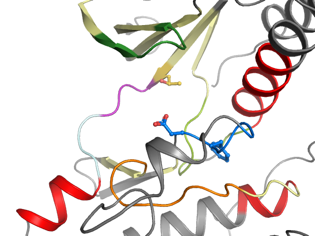 The orthosteric binding pocket