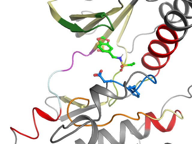The orthosteric binding pocket