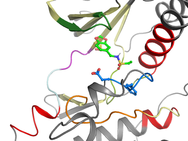 The orthosteric binding pocket