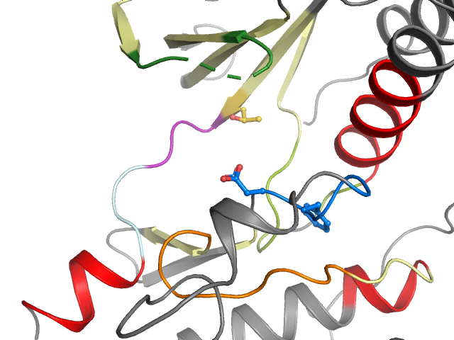 The orthosteric binding pocket
