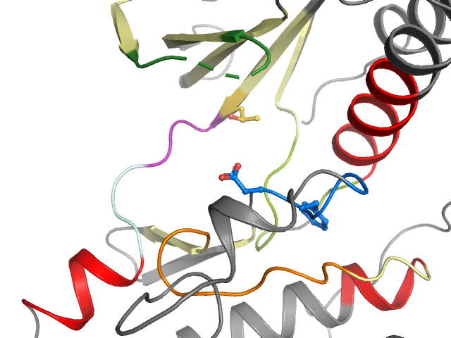 The orthosteric binding pocket