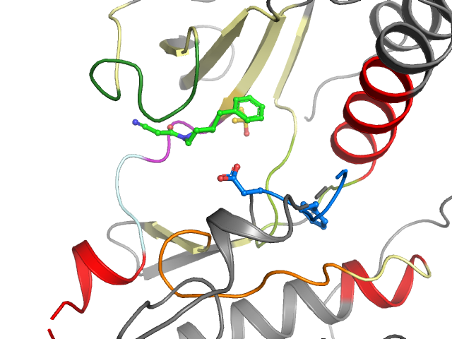 The orthosteric binding pocket