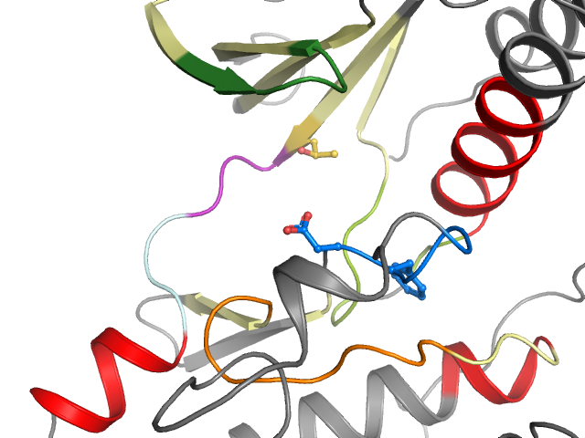 The orthosteric binding pocket