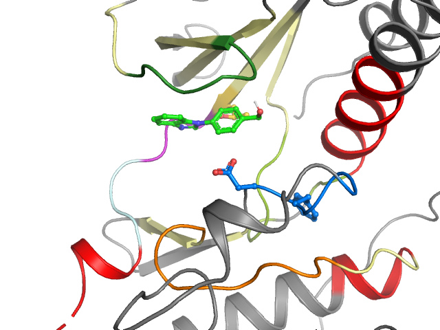 The orthosteric binding pocket
