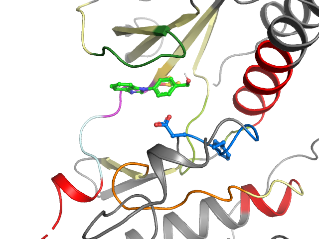 The orthosteric binding pocket