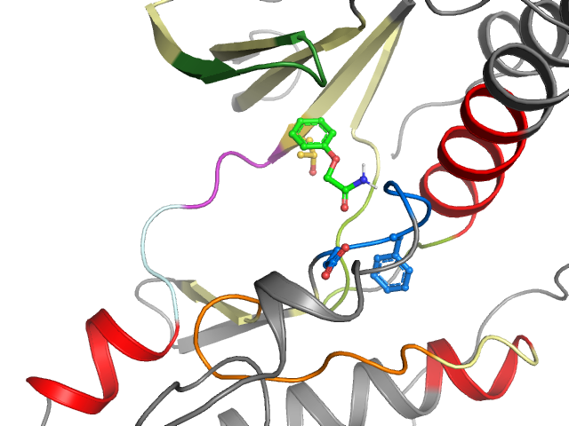 The orthosteric binding pocket