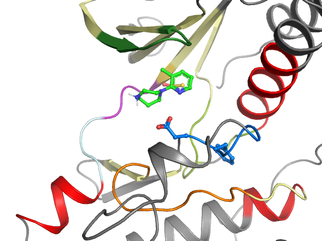 The orthosteric binding pocket