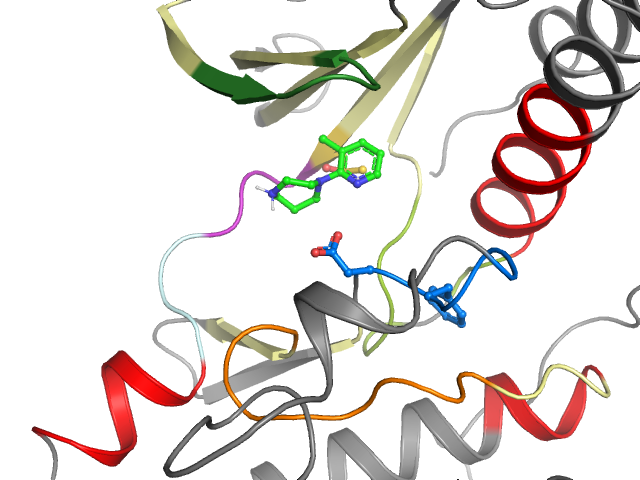 The orthosteric binding pocket