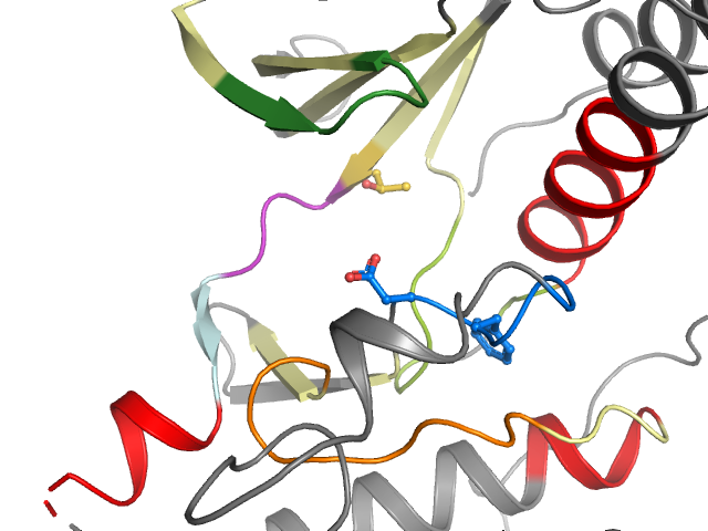 The orthosteric binding pocket