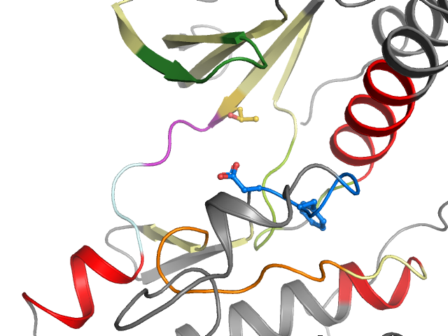The orthosteric binding pocket