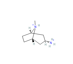 2D structure of the allostericligand