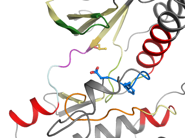 The orthosteric binding pocket