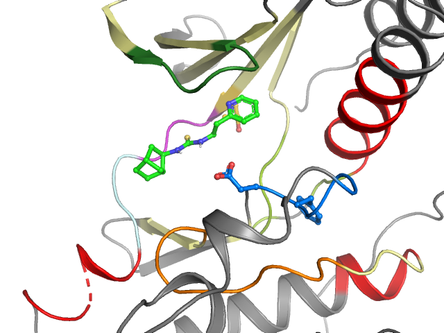 The orthosteric binding pocket