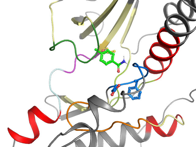 The orthosteric binding pocket
