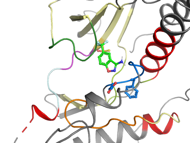 The orthosteric binding pocket