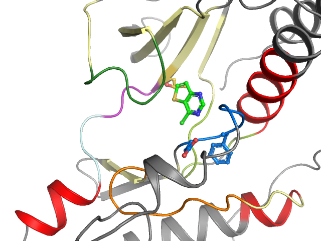 The orthosteric binding pocket