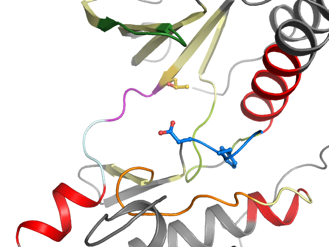 The orthosteric binding pocket