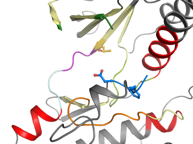 The orthosteric binding pocket