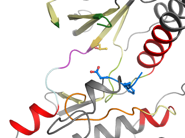 The orthosteric binding pocket