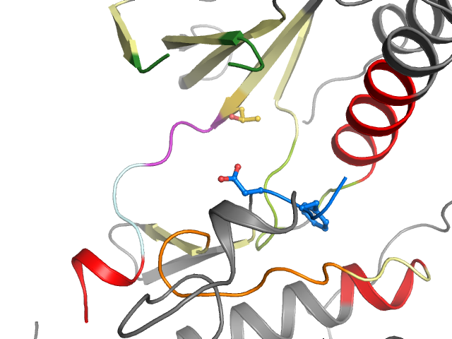 The orthosteric binding pocket