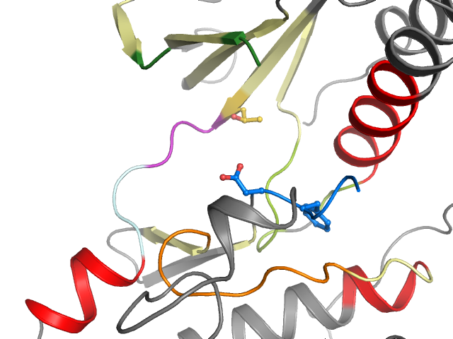 The orthosteric binding pocket