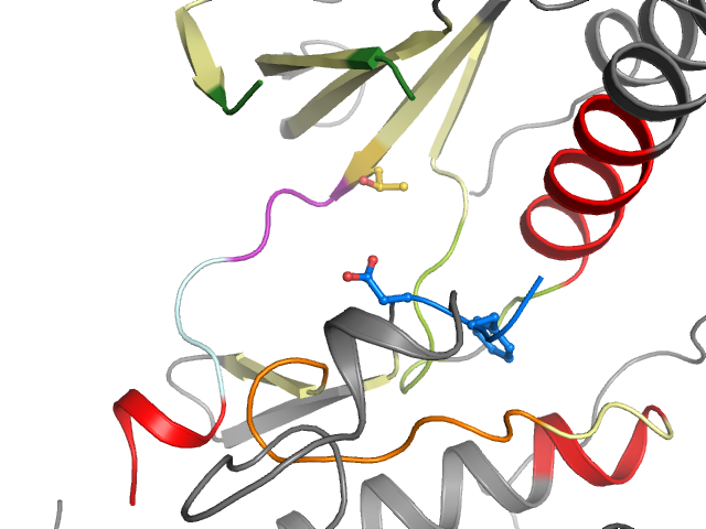 The orthosteric binding pocket
