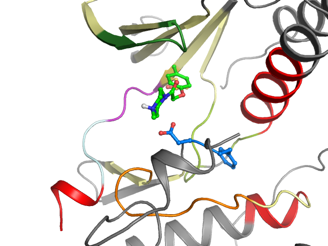 The orthosteric binding pocket