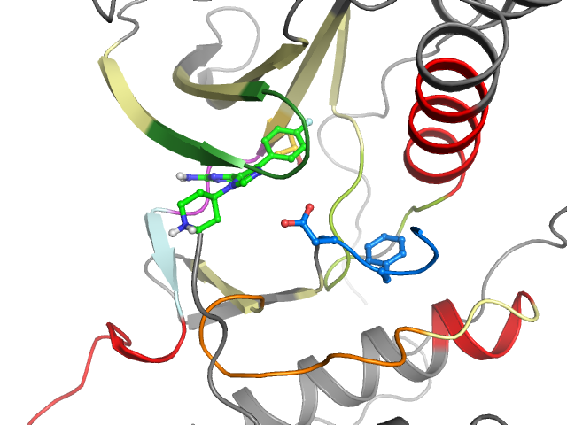 The orthosteric binding pocket