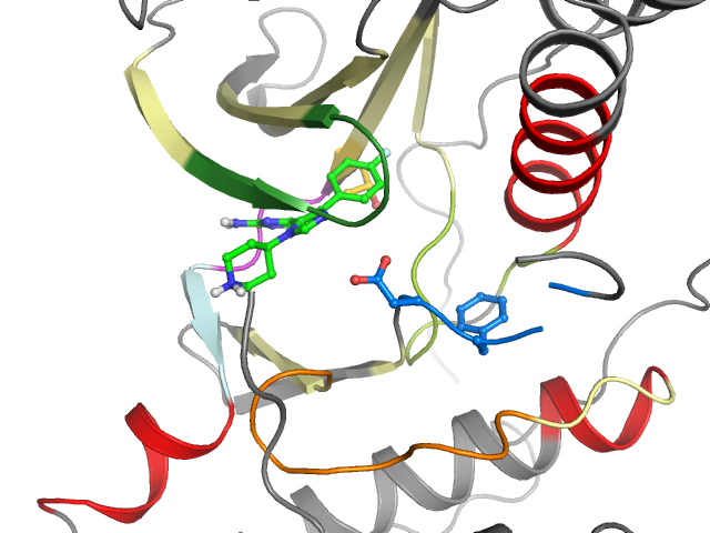 The orthosteric binding pocket