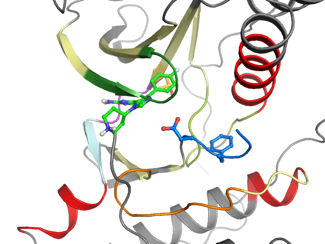 The orthosteric binding pocket